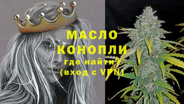 крисы Новозыбков